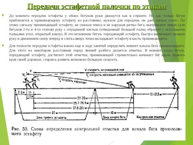 Передачи эстафетной палочки по этапам До момента передачи эстафеты у обоих бегунов руки движутся как в спринте. Но как только бегун приблизится к принимающему эстафету на расстояние, нужное для передачи, он дает сигнал «хоп». По этому сигналу принимающий эстафету, не снижая темпа и не нарушая ритма бега, выпрямляет левую (для бегунов 2-го и 4-го этапов) руку с опущенной кистью (отведенный большой палец образует с остальными пальцами угол, открытый книзу). В это мгновение бегун, передающий эстафету, быстро вытягивает правую руку и движением снизу вперед и слегка вверх точно вкладывает эстафету в кисть принимающего. Для точности передачи эстафеты важно еще в ходе занятий определить момент начала бега принимающего. Для этого на некотором расстоянии перед линией разбега делается отметка. В момент, когда бегун, передающий эстафету, достигнет этой отметки, принимающий стремительно начинает бег вдоль правого края своей дорожки, стараясь развить возможно большую скорость    