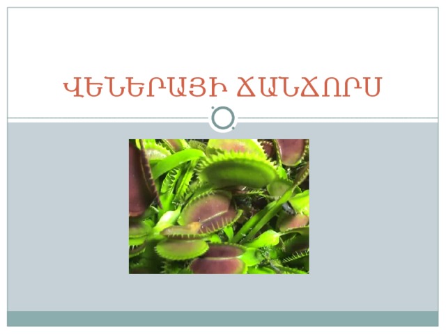 ՎԵՆԵՐԱՅԻ ՃԱՆՃՈՐՍ 