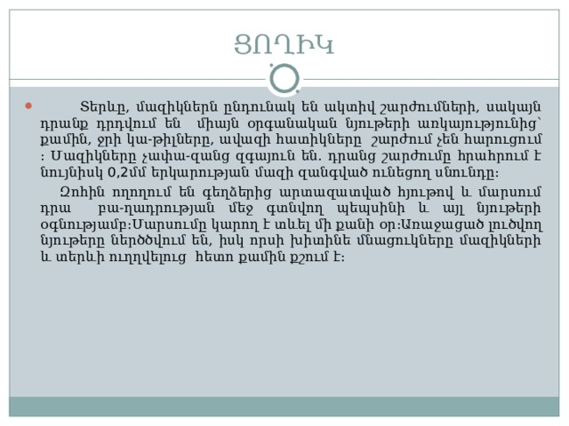 ՑՈՂԻԿ  Տերևը, մազիկներն ընդունակ են ակտիվ շարժումների, սակայն դրանք դրդվում են միայն օրգանական նյութերի առկայությունից՝ քամին, ջրի կա-թիլները, ավազի հատիկները  շարժում չեն հարուցում : Մազիկները չափա-զանց զգայուն են. դրանց շարժումը հրահրում է նույնիսկ 0,2 մմ երկարության  մազի զանգված ունեցող սնունդը :   Զոհին ողողում են գեղձերից արտազատված հյութով և մարսում դրա բա-ղադրության մեջ գտնվող պեպսինի և այլ նյութերի օգնությամբ : Մարսումը կարող է տևել մի քանի օր : Առաջացած լուծվող նյութերը ներծծվում են, իսկ որսի խիտինե մնացուկները մազիկների և տերևի ուղղվելուց  հետո քամին քշում է : 