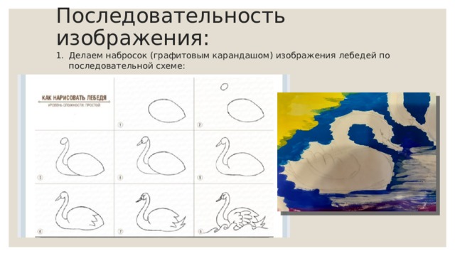 Последовательность изображения: Делаем набросок (графитовым карандашом) изображения лебедей по последовательной схеме: 