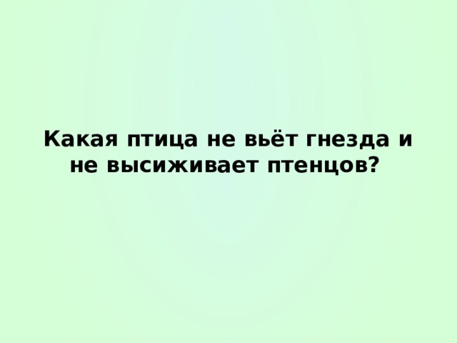 Какая птица не вьёт гнезда и не высиживает птенцов? 