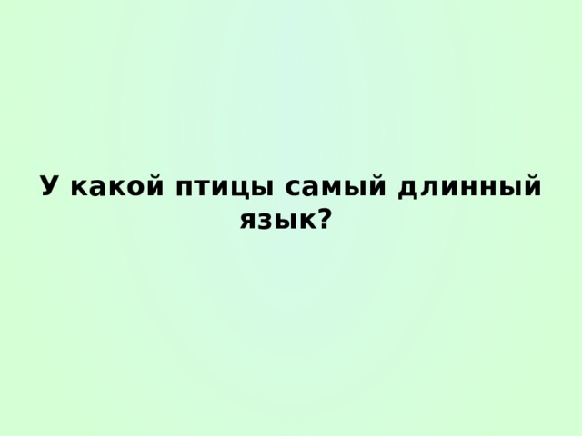 У какой птицы самый длинный язык? 