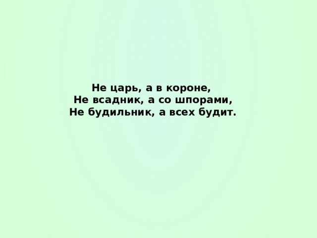 Не ездок а со шпорами