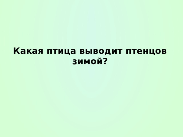 Какая птица выводит птенцов зимой? 