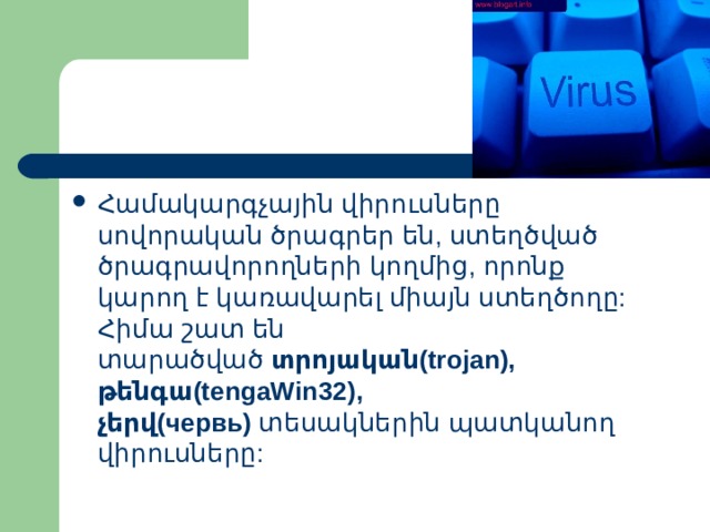 Համակարգչային  վիրուսները  սովորական  ծրագրեր  են , ստեղծված  ծրագրավորողների  կողմից , որոնք  կարող  է  կառավարել  միայն  ստեղծողը : Հիմա  շատ  են  տարածված   տրոյական (trojan), թենգա (tengaWin32), չերվ ( червь )  տեսակներին  պատկանող  վիրուսները : 