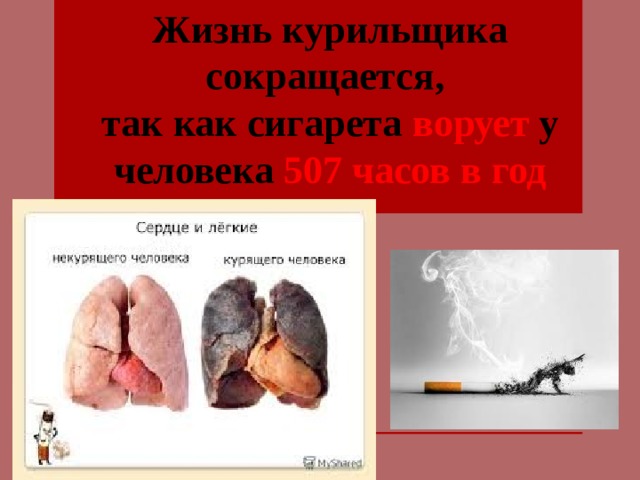 Жизнь курильщика сокращается, так как сигарета ворует у человека 507 часов в год Нанесут ли организму вред две-три сигареты в день? Особенно актуален этот вопрос для тех, кто не может полностью попрощаться со своим пристрастием.   - Даже если ограничить себя до одной сигареты в день, все равно это будет во вред. Всего одна сигарета уменьшает кровоснабжение организма кислородом почти на 5 процентов. При регулярном выкуривании только одной сигареты эффект этот накапливается. От недостатка кровообращения у курильщика по ночам начинаются судороги ног и рук. Все потому, что в мышцах нарушено кровоснабжение. Наконец, рано или поздно курильщику начнет не хватать этой одной сигареты, и он обязательно перейдет на большее количество - половину пачки, а затем и всю пачку.  