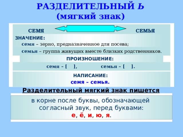 РАЗДЕЛИТЕЛЬНЫЙ Ь  (мягкий знак)  семя – зерно, предназначенное для посева; семья – группа живущих вместе близких родственников. СЕМЯ СЕМЬЯ ЗНАЧЕНИЕ:   ПРОИЗНОШЕНИЕ: семя – [  ] , семья – [  ] . НАПИСАНИЕ: семя – семья. Разделительный мягкий знак пишется в корне после буквы, обозначающей согласный звук, перед буквами: е , ё , и , ю , я .  