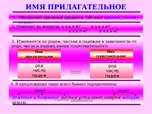 ИМЯ ПРИЛАГАТЕЛЬНОЕ Обозначает признаки предмета: ( яблоко ) красное , спелое , сочное . 2. Отвечает на вопросы: к а к о й? к а к а я?  к а к о е? к а к и е? 3. Изменяется по родам, числам и падежам в зависимости от рода, числа и падежа имени существительного. Имя существительное Имя прилагательное х род число падеж род число падеж 4. В предложении чаще всего бывает определением: какие? какую? х х Золотые и багряные листья устилают ковром мокрую землю.  