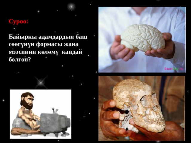Они общались друг с другом, подобно животным, с помощью разнообразных звуков. Объем мозга у древнейшего человека был больше, чем у обезьяны, но намного меньше, чем у людей нашего времени. Суроо:  Байыркы адамдардын баш сөөгүнүн формасы жана мээсинин көлөмү кандай болгон?  