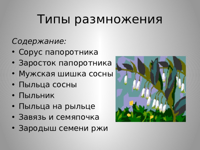 Найдите последнее место ориентируясь на вибрацию семени и содержание картины