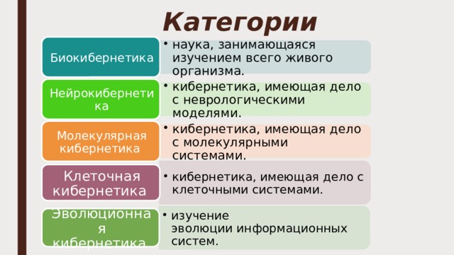 наука, занимающаяся изучением всего живого организма. наука, занимающаяся изучением всего живого организма. кибернетика, имеющая дело с клеточными системами. кибернетика, имеющая дело с клеточными системами. кибернетика, имеющая дело с неврологическими моделями. кибернетика, имеющая дело с неврологическими моделями. изучение эволюции информационных систем. изучение эволюции информационных систем. кибернетика, имеющая дело с молекулярными системами. кибернетика, имеющая дело с молекулярными системами. Категории Биокибернетика Нейрокибернетика Молекулярная кибернетика Клеточная кибернетика Эволюционная кибернетика 