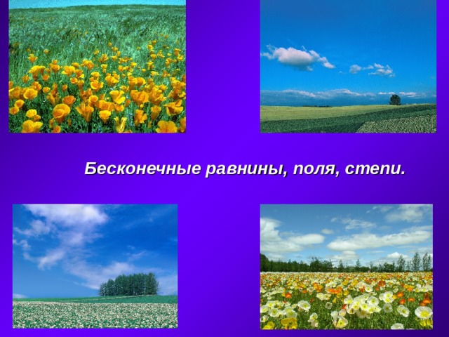 Бесконечные равнины, поля, степи. 