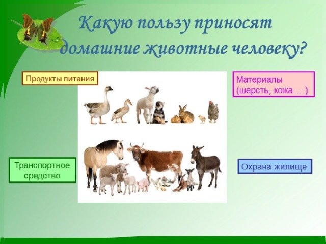 Содержание домашних животных 6 класс технология презентация