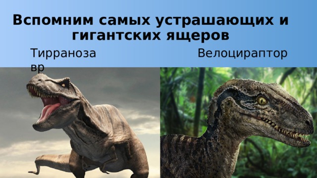 Вспомним самых устрашающих и гигантских ящеров Тирранозавр Велоцираптор 