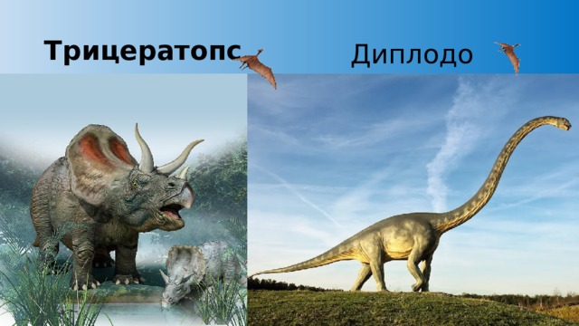 Трицератопс Диплодок 