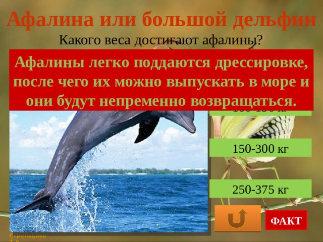 Афалина или большой дельфин Какого веса достигают афалины? Афалины легко поддаются дрессировке, после чего их можно выпускать в море и они будут непременно возвращаться. 100-150 кг 150-300 кг 250-375 кг ФАКТ Стрельцова Т.А. 
