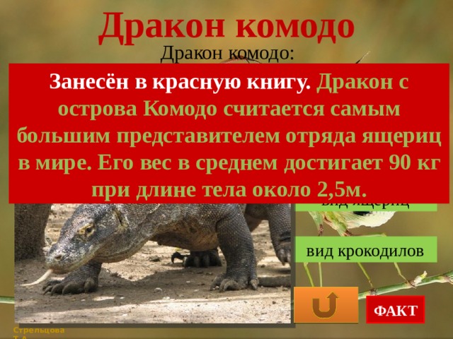 Презентация дракон комодо 1 класс начальная школа 21 века