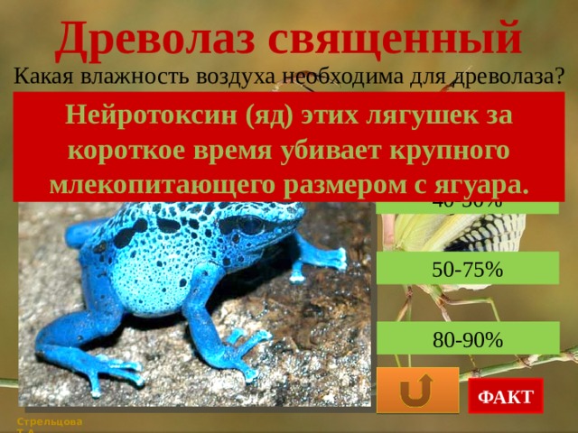 Древолаз священный Какая влажность воздуха необходима для древолаза? Нейротоксин (яд) этих лягушек за короткое время убивает крупного млекопитающего размером с ягуара. 40-50% 50-75% 80-90% ФАКТ Стрельцова Т.А. 