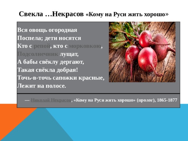 С векла …Некрасов «Кому на Руси жить хорошо » Вся овощь огородная  Поспела; дети носятся  Кто с  репой , кто с  морковкою ,  Подсолнечник  лущат,  А бабы свёклу дергают,  Такая свёкла добрая!  Точь-в-точь сапожки красные,  Лежит на полосе. —  Николай Некрасов , «Кому на Руси жить хорошо» (пролог), 1865-1877 