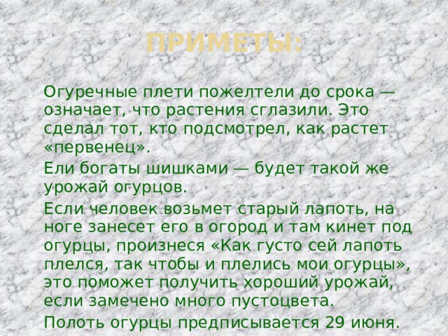ПРИМЕТЫ: Огуречные плети пожелтели до срока — означает, что растения сглазили. Это сделал тот, кто подсмотрел, как растет «первенец». Ели богаты шишками — будет такой же урожай огурцов. Если человек возьмет старый лапоть, на ноге занесет его в огород и там кинет под огурцы, произнеся «Как густо сей лапоть плелся, так чтобы и плелись мои огурцы», это поможет получить хороший урожай, если замечено много пустоцвета. Полоть огурцы предписывается 29 июня. 