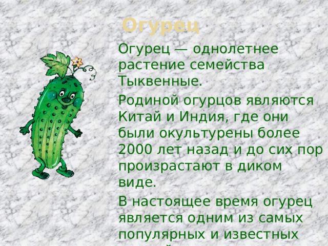 Огурец Огурец — однолетнее растение семейства Тыквенные. Родиной огурцов являются Китай и Индия, где они были окультурены более 2000 лет назад и до сих пор произрастают в диком виде. В настоящее время огурец является одним из самых популярных и известных овощей в мире, выращивается практически во всех уголках планеты. 