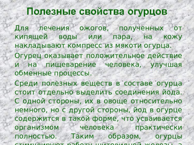 Для лечения ожогов, полученных от кипящей воды или пара, на кожу накладывают компресс из мякоти огурца.  Огурец оказывает положительное действие и на пищеварение человека, улучшая обменные процессы. Среди полезных веществ в составе огурца стоит отдельно выделить соединения йода. С одной стороны, их в овоще относительно немного, но с другой стороны, йод в огурце содержится в такой форме, что усваивается организмом человека практически полностью. Таким образом, огурцы стимулируют работу щитовидной железы, а вместе с ней сердца и сосудов. 