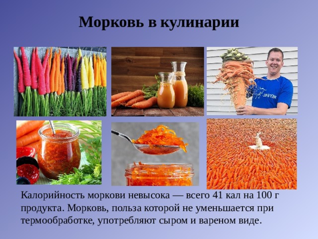Морковь в кулинарии Калорийность моркови невысока — всего 41 кал на 100 г продукта. Морковь, польза которой не уменьшается при термообработке, употребляют сыром и вареном виде. 