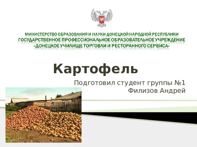 Картофель Подготовил студент группы №1 Филизов Андрей 