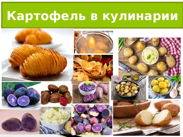 Картофель в кулинарии 
