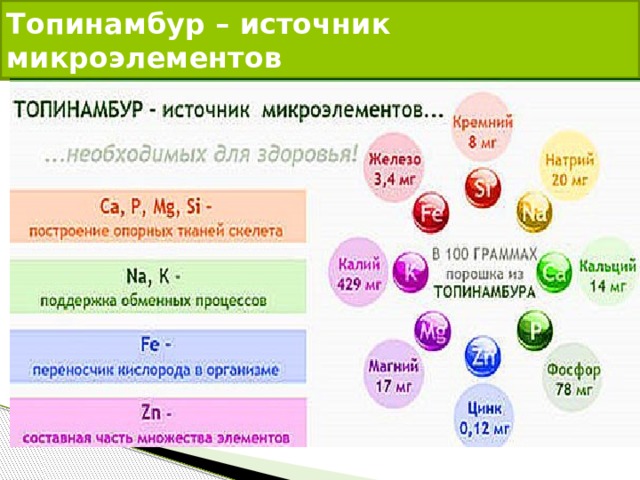 Топинамбур – источник микроэлементов 