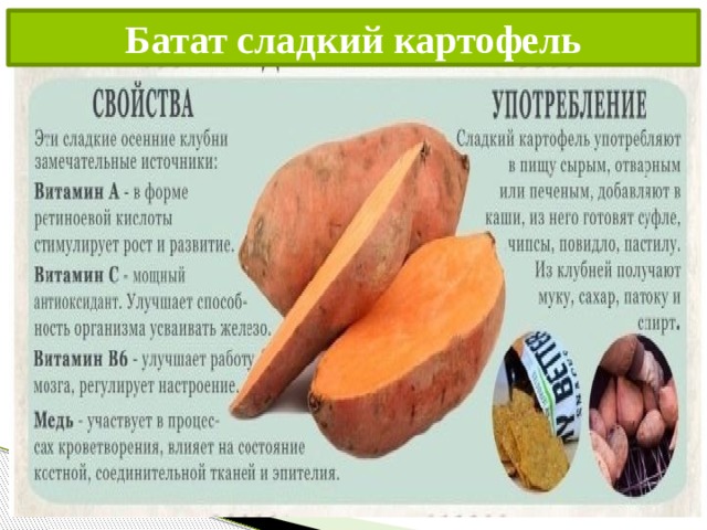 Батат сладкий картофель 