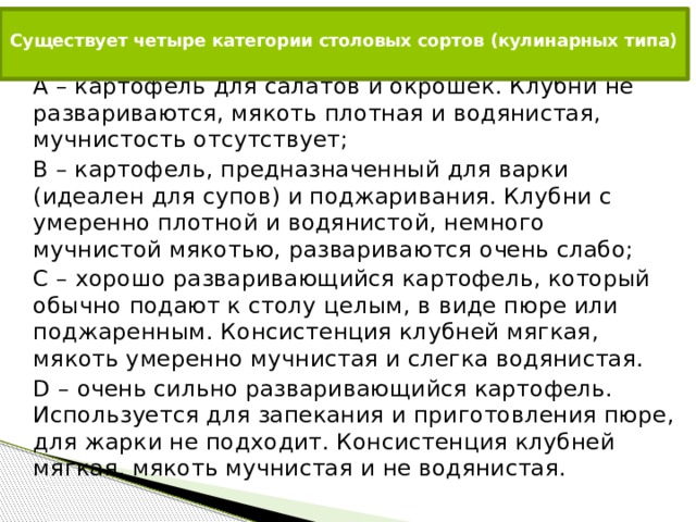  Существует четыре категории столовых сортов (кулинарных типа)   A – картофель для салатов и окрошек. Клубни не развариваются, мякоть плотная и водянистая, мучнистость отсутствует; B – картофель, предназначенный для варки (идеален для супов) и поджаривания. Клубни с умеренно плотной и водянистой, немного мучнистой мякотью, развариваются очень слабо; C – хорошо разваривающийся картофель, который обычно подают к столу целым, в виде пюре или поджаренным. Консистенция клубней мягкая, мякоть умеренно мучнистая и слегка водянистая. D – очень сильно разваривающийся картофель. Используется для запекания и приготовления пюре, для жарки не подходит. Консистенция клубней мягкая, мякоть мучнистая и не водянистая. 