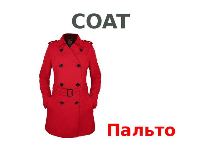 coat Пальто 