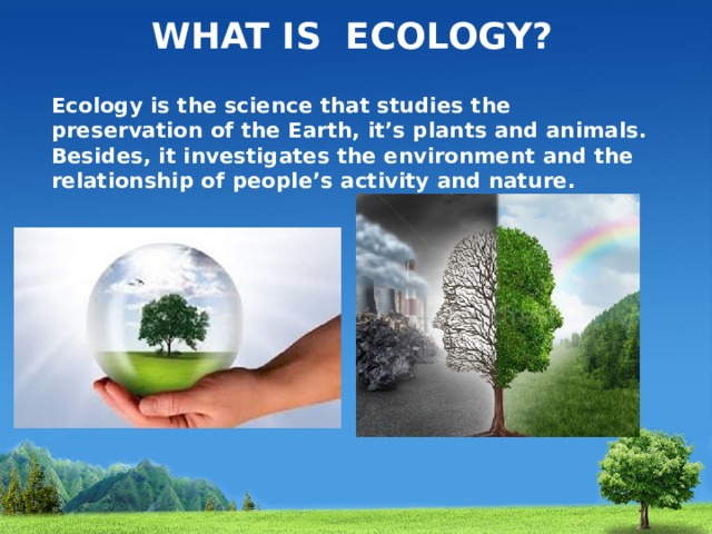 What is ecology? Ecology is the science that studies the preservation of the Earth, it’s plants and animals. Besides, it investigates the environment and the relationship of people’s activity and nature. 