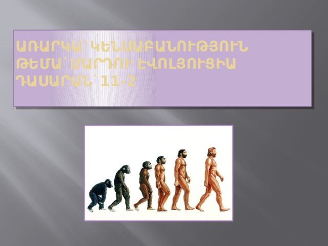 Առարկա`կենսաբանություն  Թեմա`մարդու էվոլյուցիա  Դասարան`11-2   