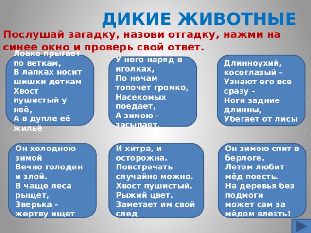  ДИКИЕ ЖИВОТНЫЕ Послушай загадку, назови отгадку, нажми на синее окно и проверь свой ответ.    Длинноухий, косоглазый – Узнают его все сразу – Ловко прыгает по веткам, Ноги задние длинны,  В лапках носит шишки деткам Убегает от лисы Хвост пушистый у неё, А в дупле её жильё      У него наряд в иголках, По ночам топочет громко, Насекомых поедает, А зимою - засыпает.   И хитра, и осторожна. Он зимою спит в берлоге. Он холодною зимой  Летом любит мёд поесть. Повстречать случайно можно. Вечно голоден и злой. В чаще леса рыщет, Хвост пушистый. Рыжий цвет. На деревья без подмоги Зверька – жертву ищет Заметает им свой след может сам за мёдом влезть!  