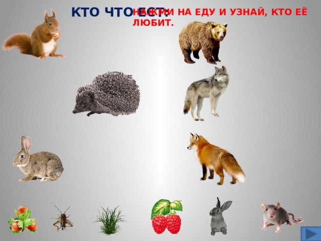  КТО ЧТО ЕСТ: НАЖМИ НА ЕДУ И УЗНАЙ, КТО ЕЁ ЛЮБИТ. 