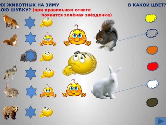 КТО ИЗ ЭТИХ ЖИВОТНЫХ НА ЗИМУ В КАКОЙ ЦВЕТ? МЕНЯЕТ СВОЮ ШУБКУ? (при правильном ответе  появится зелёная звёздочка) 