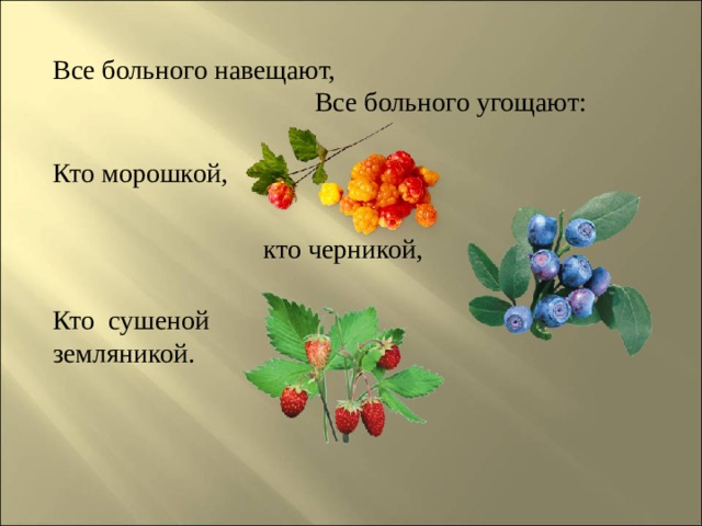 Все больного навещают,  Все больного угощают:   Кто морошкой,  кто черникой,   Кто сушеной земляникой. 