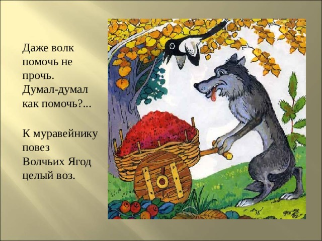  Даже волк помочь не прочь.  Думал-думал как помочь?...   К муравейнику повез  Волчьих Ягод целый воз.   