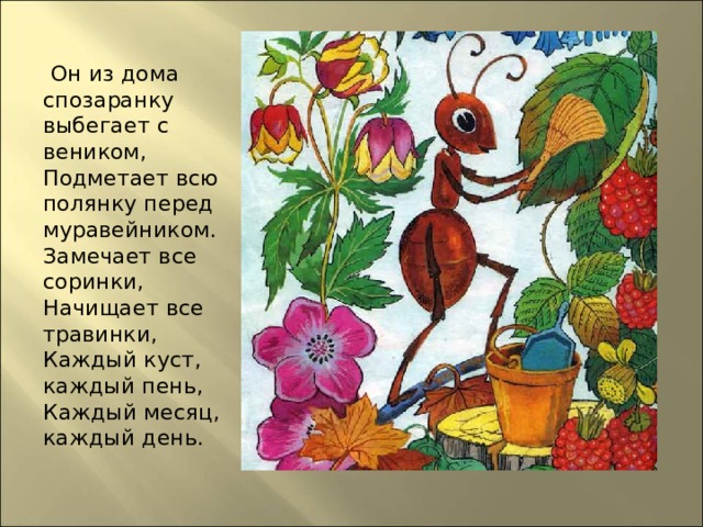  Он из дома спозаранку выбегает с веником,  Подметает всю полянку перед муравейником.  Замечает все соринки,  Начищает все травинки,  Каждый куст, каждый пень,  Каждый месяц, каждый день. 