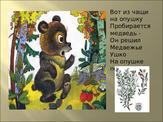 Сказка про лекарственные растения