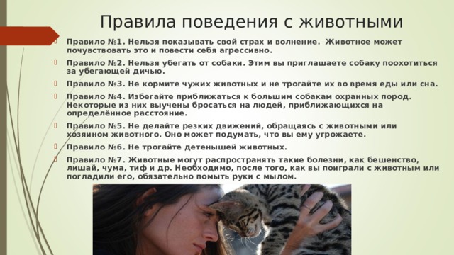 Правила поведения с животными Правило №1. Нельзя показывать свой страх и волнение. Животное может почувствовать это и повести себя агрессивно. Правило №2. Нельзя убегать от собаки. Этим вы приглашаете собаку поохотиться за убегающей дичью. Правило №3. Не кормите чужих животных и не трогайте их во время еды или сна. Правило №4. Избегайте приближаться к большим собакам охранных пород. Некоторые из них выучены бросаться на людей, приближающихся на определённое расстояние. Правило №5. Не делайте резких движений, обращаясь с животными или хозяином животного. Оно может подумать, что вы ему угрожаете. Правило №6. Не трогайте детенышей животных. Правило №7. Животные могут распространять такие болезни, как бешенство, лишай, чума, тиф и др. Необходимо, после того, как вы поиграли с животным или погладили его, обязательно помыть руки с мылом.  