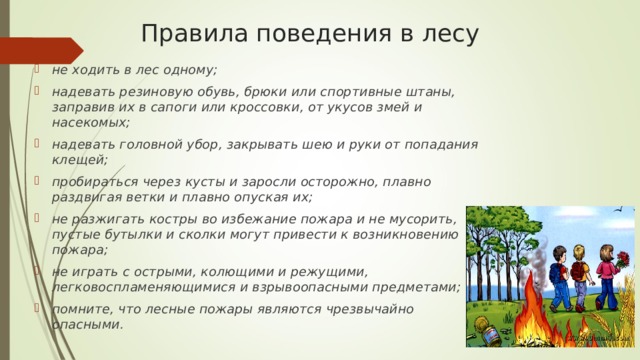 Правила поведения в лесу не ходить в лес одному; надевать резиновую обувь, брюки или спортивные штаны, заправив их в сапоги или кроссовки, от укусов змей и насекомых; надевать головной убор, закрывать шею и руки от попадания клещей; пробираться через кусты и заросли осторожно, плавно раздвигая ветки и плавно опуская их; не разжигать костры во избежание пожара и не мусорить, пустые бутылки и сколки могут привести к возникновению пожара; не играть с острыми, колющими и режущими, легковоспламеняющимися и взрывоопасными предметами; помните, что лесные пожары являются чрезвычайно опасными.  