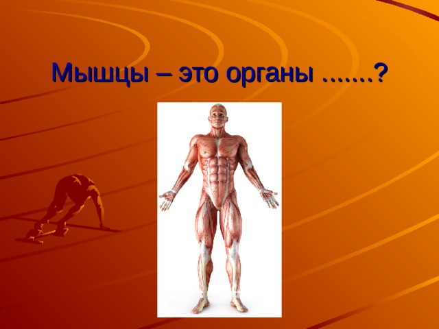 Мышцы – это органы .......? 