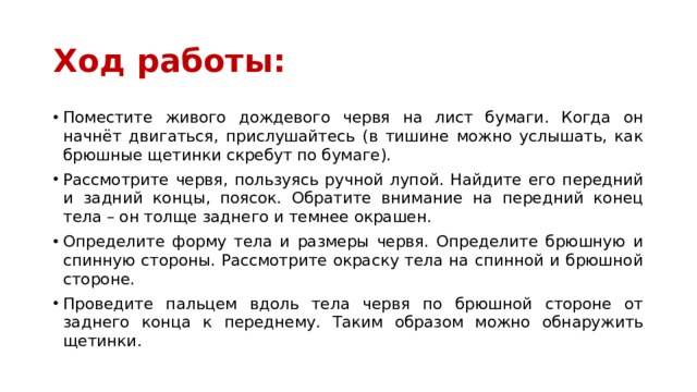 Ход работы: Поместите живого дождевого червя на лист бумаги. Когда он начнёт двигаться, прислушайтесь (в тишине можно услышать, как брюшные щетинки скребут по бумаге). Рассмотрите червя, пользуясь ручной лупой. Найдите его передний и задний концы, поясок. Обратите внимание на передний конец тела – он толще заднего и темнее окрашен. Определите форму тела и размеры червя. Определите брюшную и спинную стороны. Рассмотрите окраску тела на спинной и брюшной стороне. Проведите пальцем вдоль тела червя по брюшной стороне от заднего конца к переднему. Таким образом можно обнаружить щетинки. 