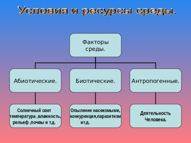 К абиотическим факторам относятся