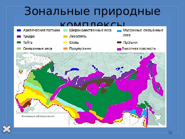 Зональные природные комплексы 13 