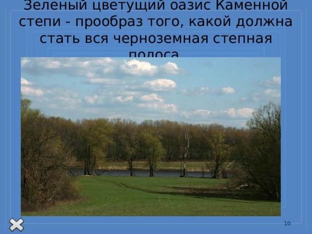 Зеленый цветущий оазис Каменной степи - прообраз того, какой должна стать вся черноземная степная полоса. В 1892 г. группа ученых во главе с Василием Васильевичем Докучаевым, великим русским ученым, основоположником учения о почве, приступила к организации здесь интересного и необычайно смелого эксперимента. Было решено засушливую степь переделать самым решительным образом, создать на ней такие условия, чтобы не только прекратилось дальнейшее ее иссушение, образование оврагов и смывание черноземов, но и восстановилось ее плодородие, климат сделался более мягким, а урожаи - более высокими.  Основой для проведения работ по преобразованию природы Каменной степи Докучаев считал создание защитных лесных полос, строительство прудов.   