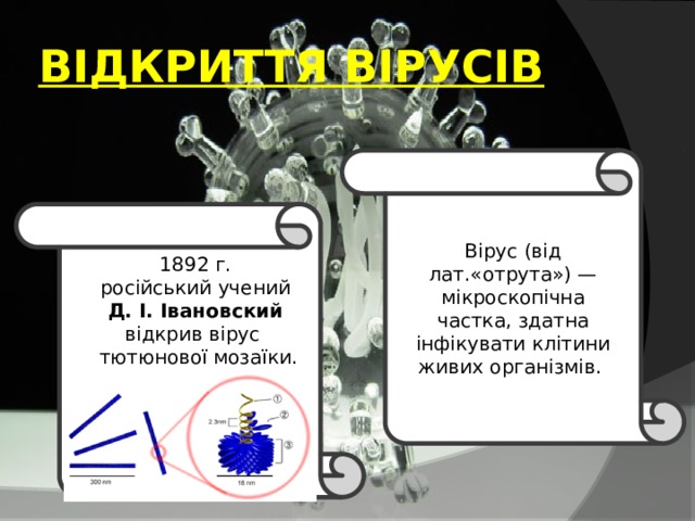ВІДКРИТТЯ ВІРУСІВ Вірус (від лат.«отрута») —мікроскопічна частка, здатна інфікувати клітини живих організмів. 1892 г. російський учений Д. І. Івановский відкрив вірус  тютюнової мозаїки. 